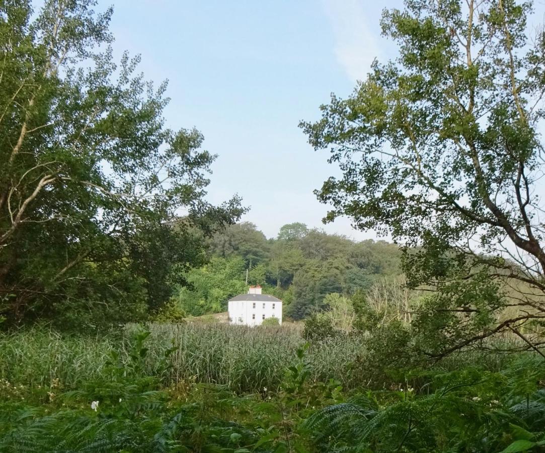 Riverbank House Bed And Breakfast Innishannon ภายนอก รูปภาพ