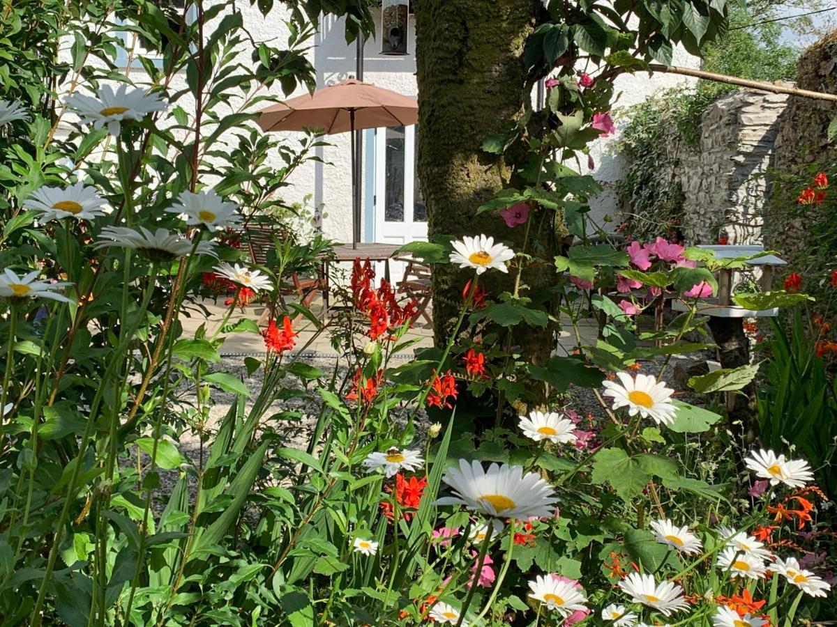 Riverbank House Bed And Breakfast Innishannon ภายนอก รูปภาพ